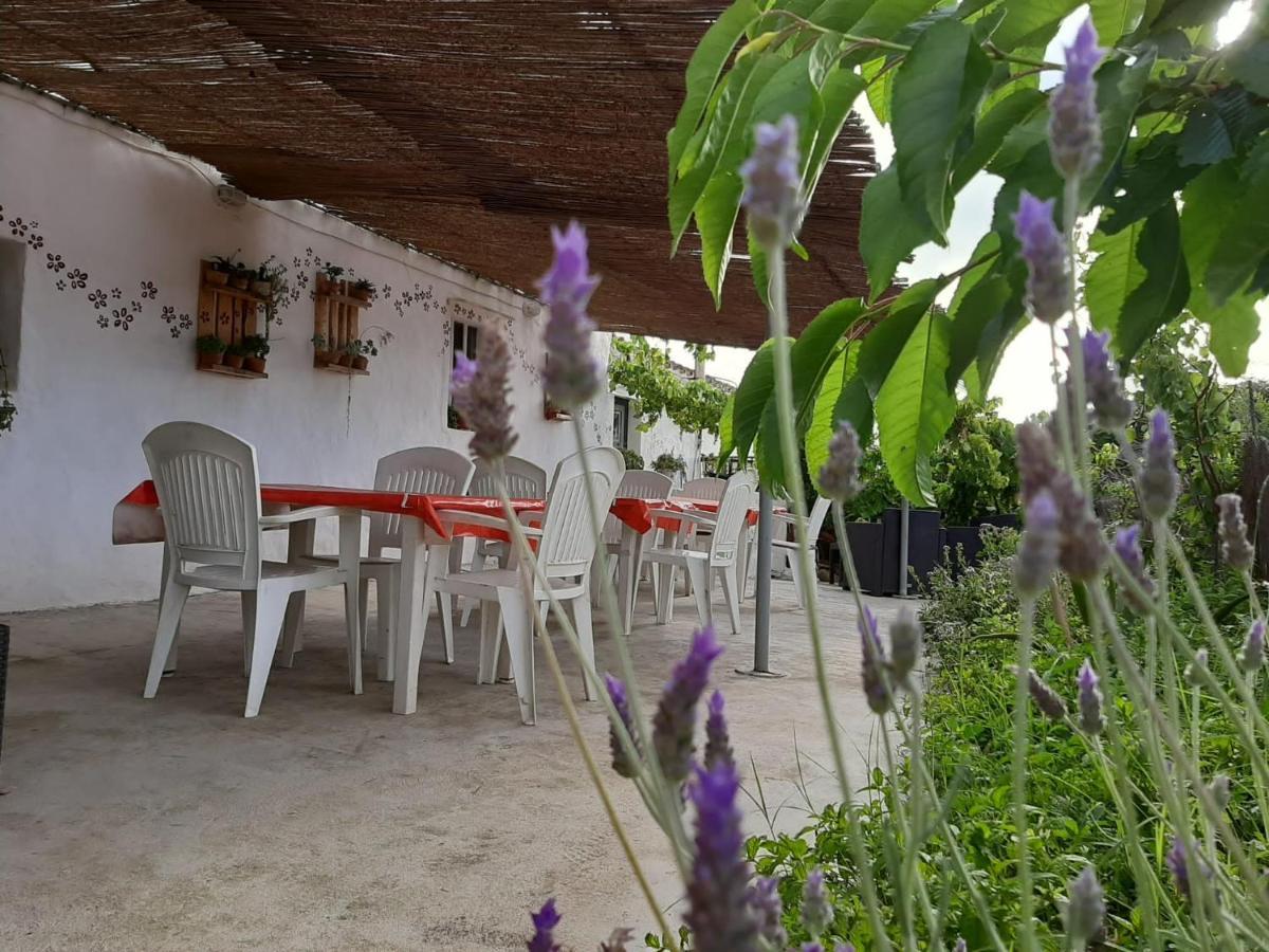Es Barranco Guest House Ferreries Bagian luar foto