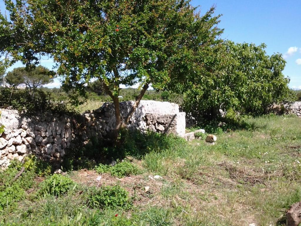 Es Barranco Guest House Ferreries Bagian luar foto